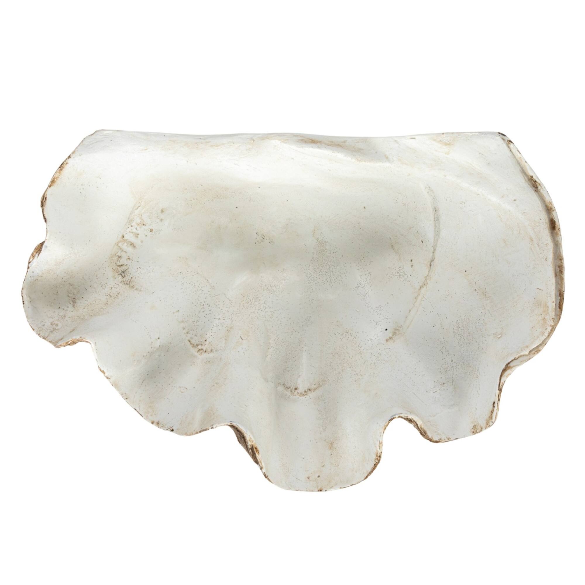 Hello Honey® 14.25" Decorative Clam Wall Bowl